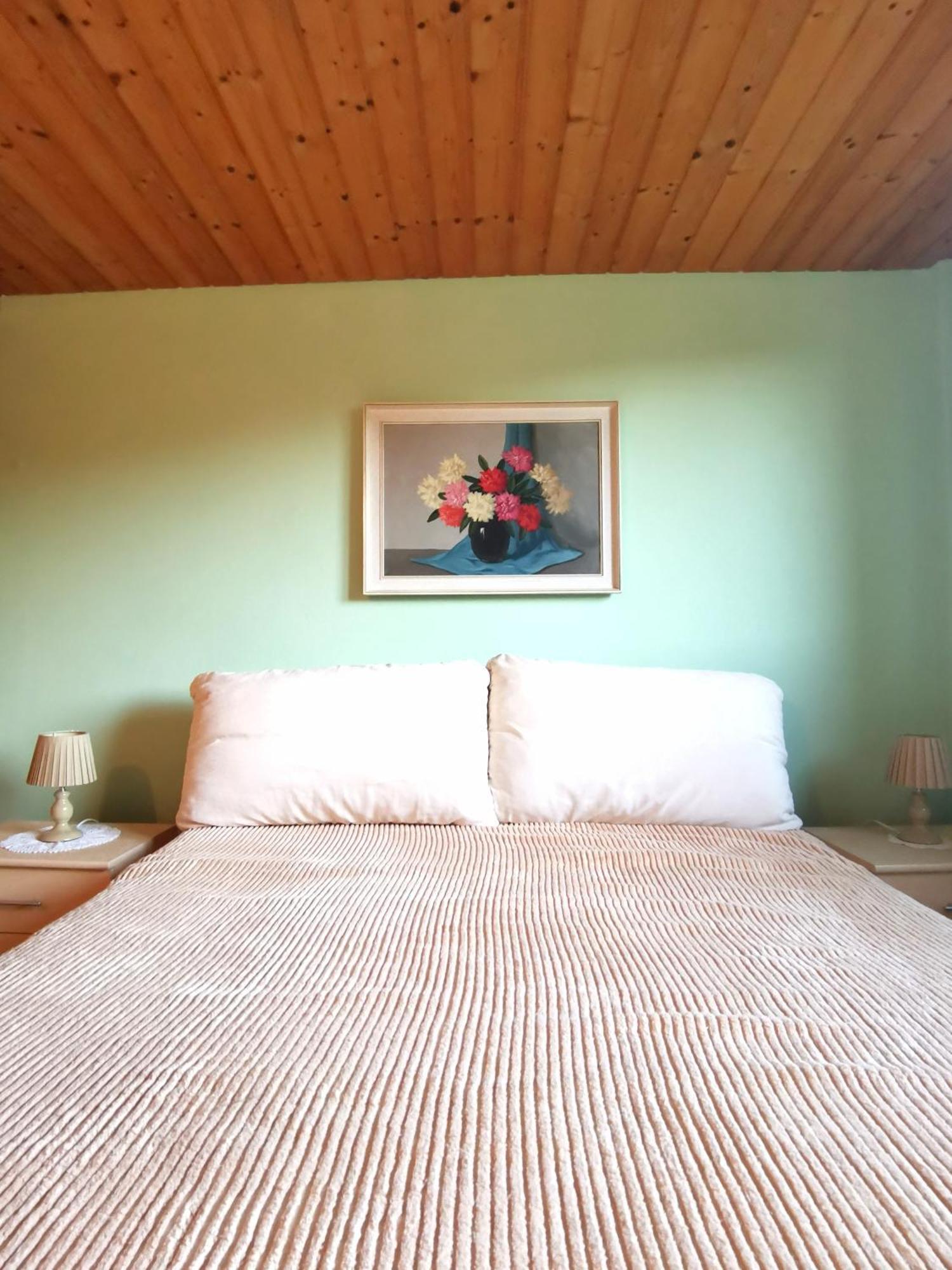 Grosses Ferienhaus Plattensee Balaton - Nyaralo Haz 6 Szobaval, 5 Fuerdoszobaval, 3000 Nm Apartment Szolad Ngoại thất bức ảnh